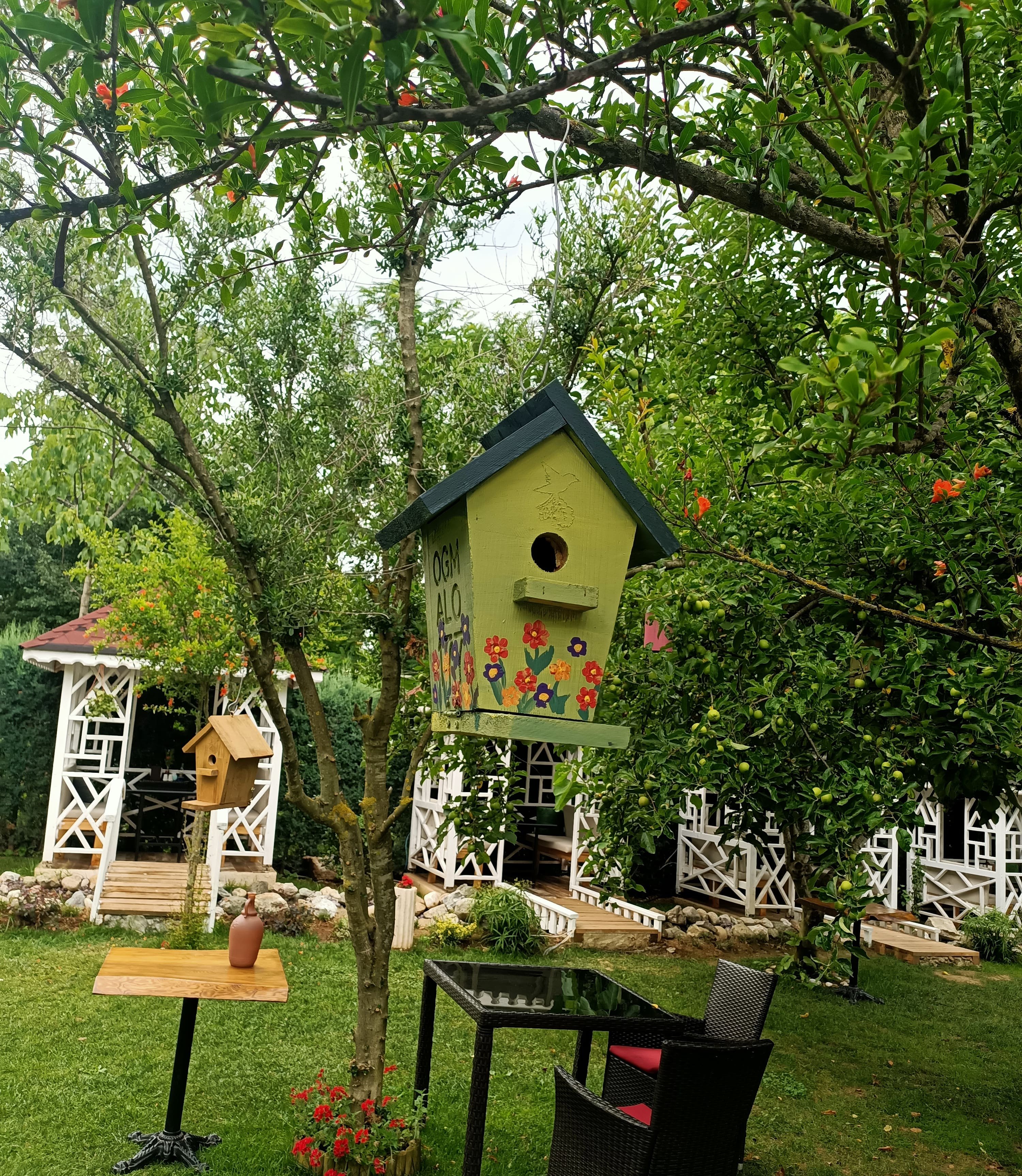 Romantik Günler İçin Kutlama Otelleri